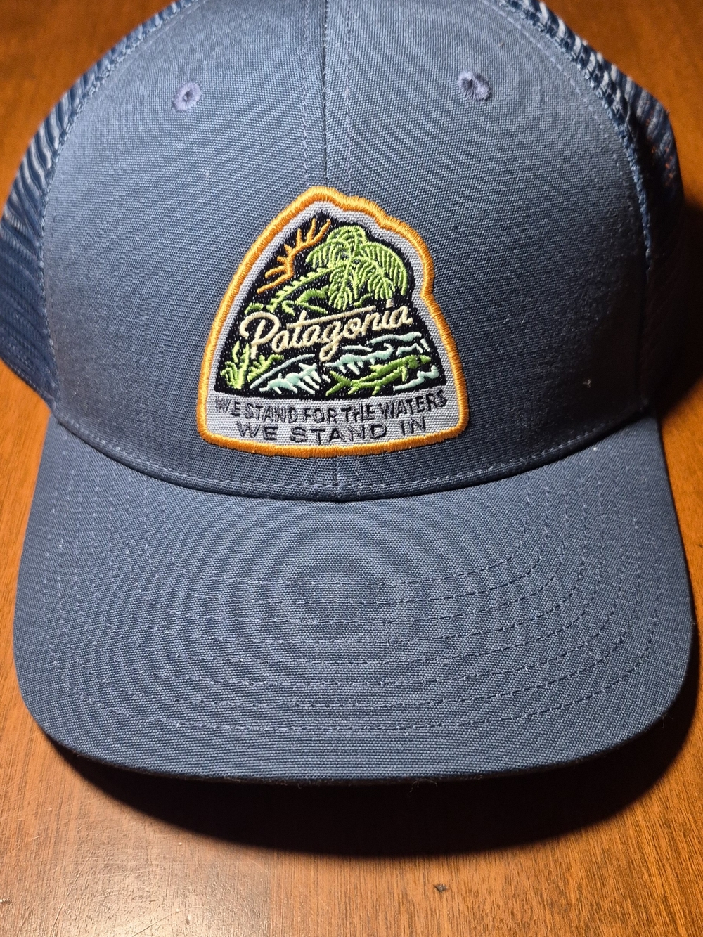 Patagonia Trucker Hat NWT